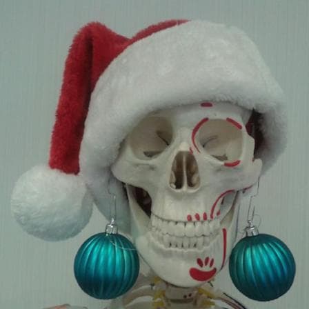Close up of model skull wearing a christmas hat
